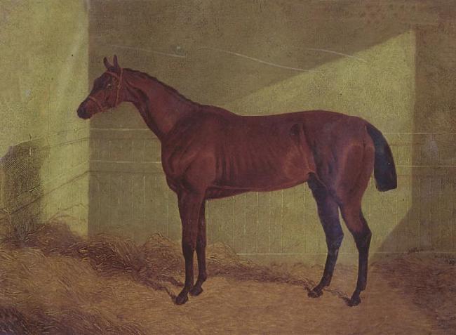 John Frederick Herring Margrave Winner of the st Leger